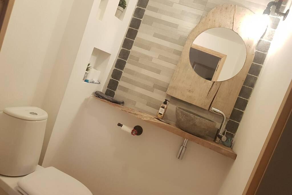 Studio tout confort entre vignes et prés Saint-Didier-sur-Beaujeu Extérieur photo