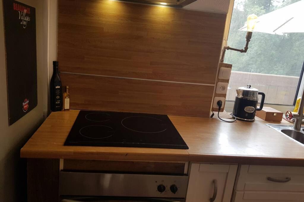 Studio tout confort entre vignes et prés Saint-Didier-sur-Beaujeu Extérieur photo