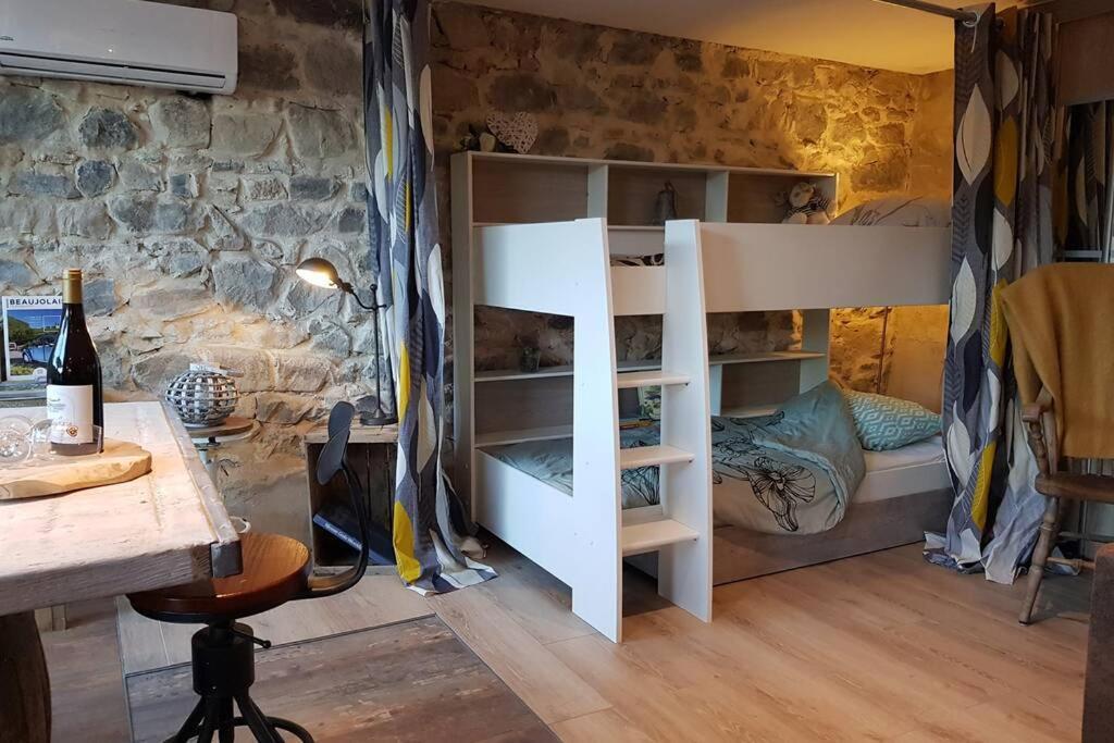 Studio tout confort entre vignes et prés Saint-Didier-sur-Beaujeu Extérieur photo